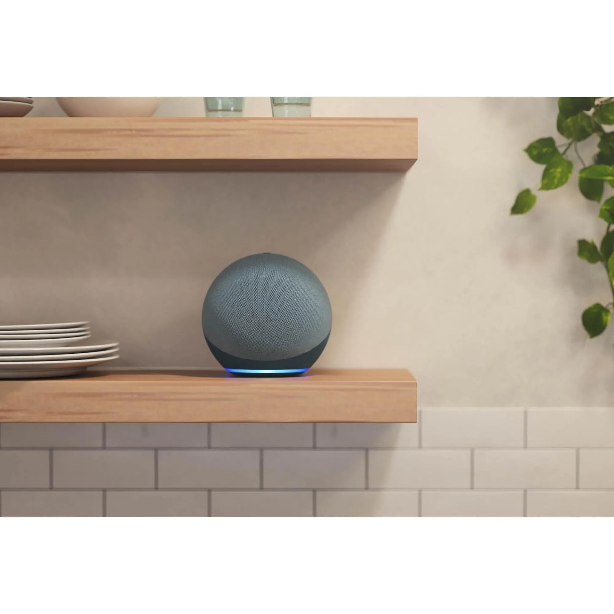 HP Echo 4th Gen in Twilight Blue + Ring A19 Smart Bulb